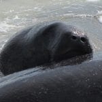 article image - 